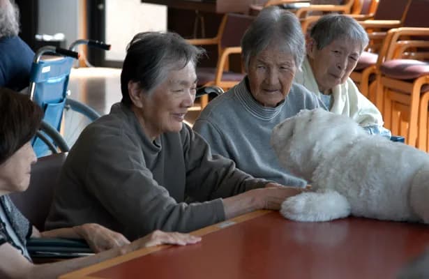 Residents in a care home stroking the PARO robot seal
