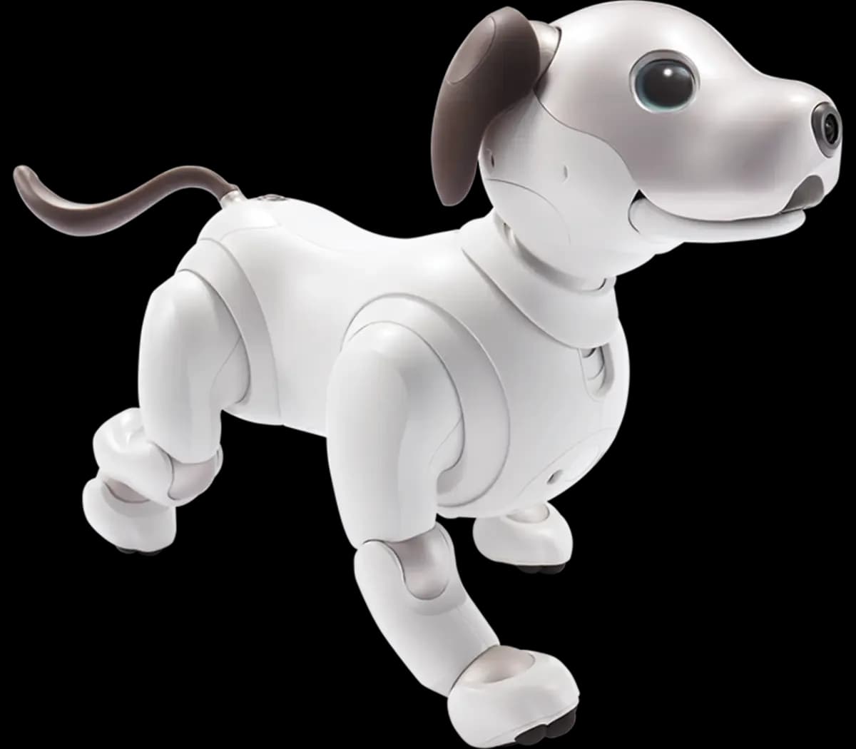 Sony aibo ERS-1000 robot dog trotting