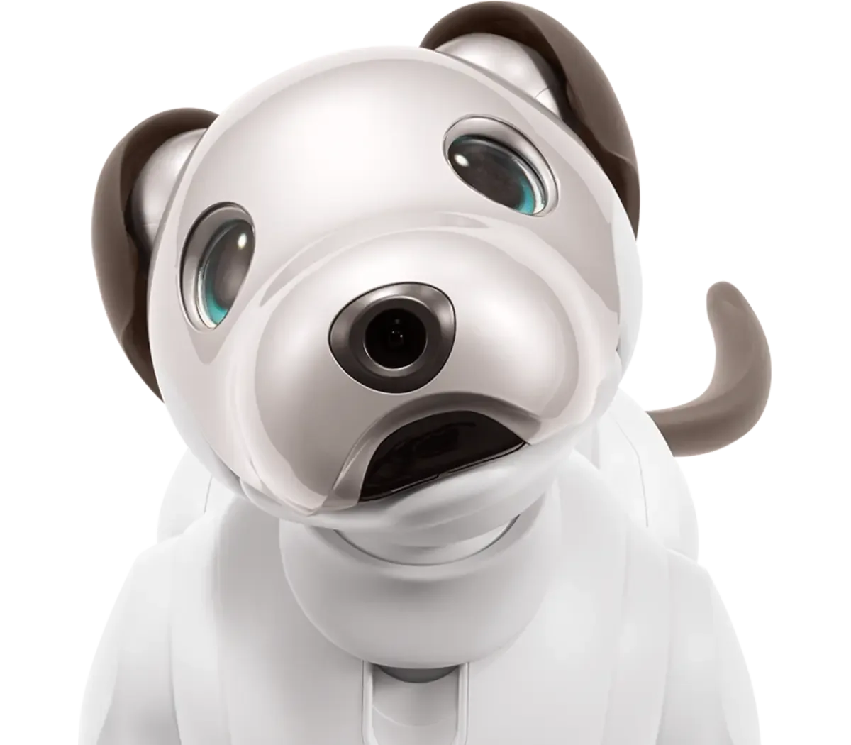 Close-up of the Sony aibo robot dog's face