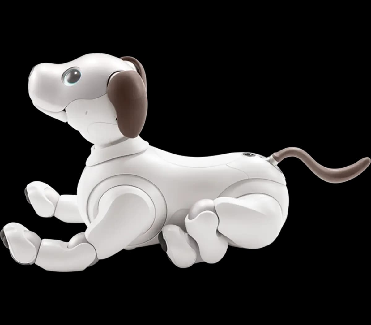 Sony aibo robot dog lying down