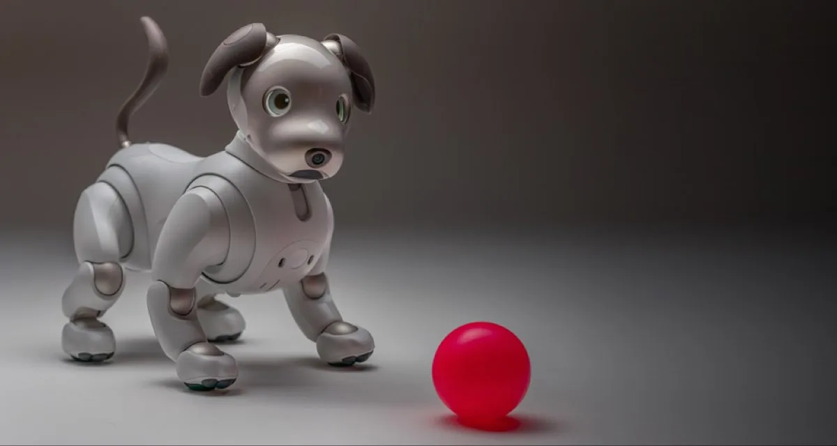 Sony aibo robot dog playing with its pink ball